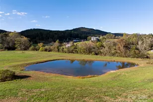 71 Happy Valley Dr, Mills River, NC 28759 - Photo 44