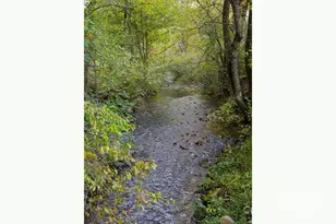 71 Happy Valley Dr, Mills River, NC 28759 - Photo 18