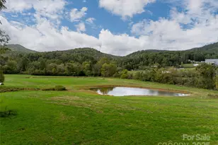 71 Happy Valley Dr, Mills River, NC 28759 - Photo 14