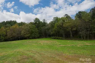 71 Happy Valley Dr, Mills River, NC 28759 - Photo 22