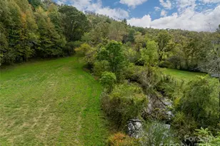 71 Happy Valley Dr, Mills River, NC 28759 - Photo 36