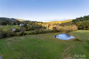 71 Happy Valley Dr, Mills River, NC 28759 - Photo 46