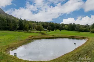 71 Happy Valley Dr, Mills River, NC 28759 - Photo 2