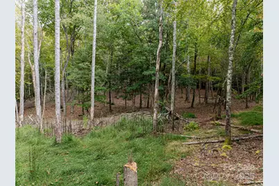 71 Happy Valley Drive, Mills River, NC 28759 - Photo 40