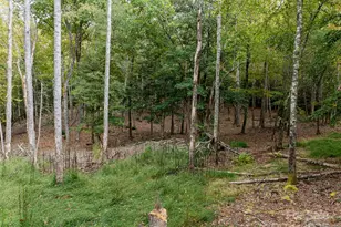 71 Happy Valley Dr, Mills River, NC 28759 - Photo 40