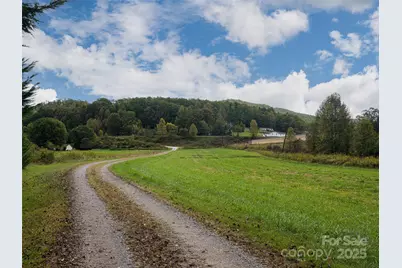 71 Happy Valley Drive, Mills River, NC 28775 - Photo 32