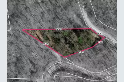 1462 Brightwater Road, Hendersonville, NC 28739 - Photo 40