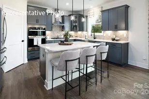 3027 Canvasback Wy, Indian Trail, NC 28079 - Photo 4