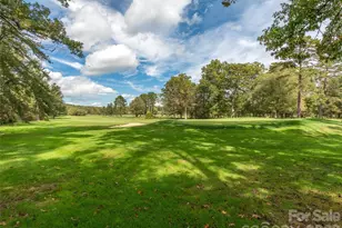 49 Tee Box Ln, Etowah, NC 28729 - Photo 2