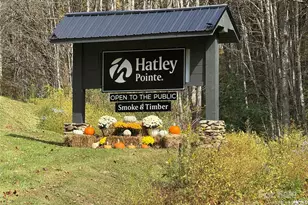 27 Trillium Ln, Mars Hill, NC 28754 - Photo 20