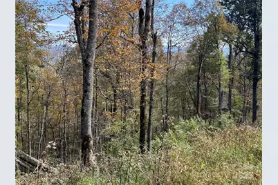 27 Trillium Lane, Mars Hill, NC 28754 - Photo 1