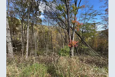 27 Trillium Lane, Mars Hill, NC 28754 - Photo 2