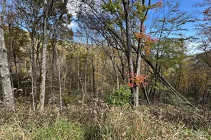 27 Trillium Ln, Mars Hill, NC 28754 - Photo 2