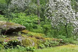 142 Cherrywood Ln, Pisgah Forest, NC 28768 - Photo 34