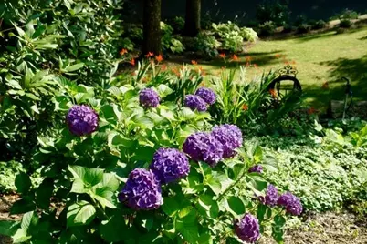 295 Laurel Ridge Drive, Waynesville, NC 28786 - Photo 46