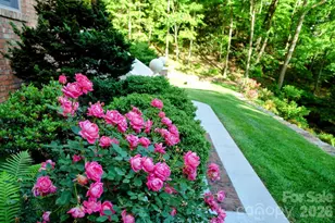 295 Laurel Ridge Dr, Waynesville, NC 28786 - Photo 46