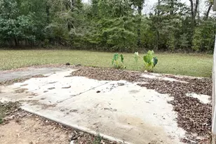 235 Myers Ln, Pageland, SC 29728 - Photo 34