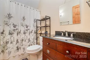 117 Delwood Ct, Mount Gilead, NC 27306 - Photo 18