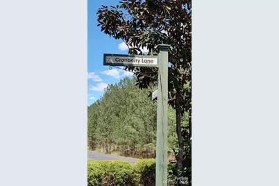 116 Cranberry Lane, Mooresboro, NC 28114 - Photo 14