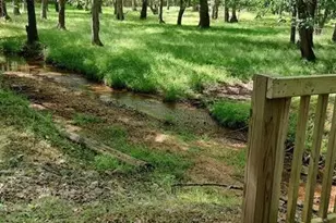 116 Cranberry Ln, Mooresboro, NC 28114 - Photo 16