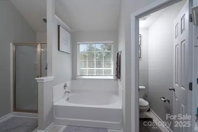 7644 W Berkeley Road, Denver, NC 28037 - Photo 16