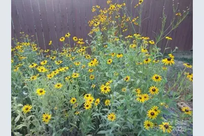 3515 Clardy Court, Charlotte, NC 28205 - Photo 28