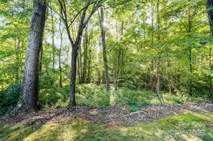 1500 Beth Haven Church Rd, Denver, NC 28037 - Photo 32