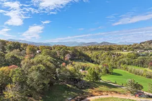 303 Johnson Farm Rd, Canton, NC 28716 - Photo 14