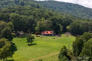 50 Holland Rdg Dr, Candler, NC 28715 - Photo 40