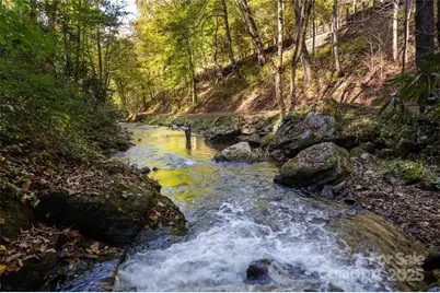 214 Chin Tree Road, Sylva, NC 28779 - Photo 40