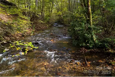 214 Chin Tree Road, Sylva, NC 28779 - Photo 44