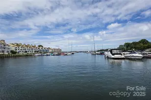 18861 Vineyard Point Ln, Cornelius, NC 28031 - Photo 42