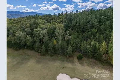 000 Deep Gap Farm Drive #2021, Mill Spring, NC 28756 - Photo 14