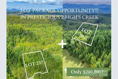 000 Deep Gap Farm Drive #2021, Mill Spring, NC 28756 - Photo 4