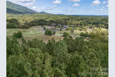000 Deep Gap Farm Drive #2021, Mill Spring, NC 28756 - Photo 8