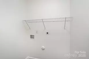 1017 Pegram St, Charlotte, NC 28205 - Photo 18