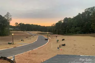 2920 Audubon Ridge, Belmont, NC 28012 - Photo 26