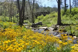 202 Westridge Farm Rd, Asheville, NC 28804 - Photo 34