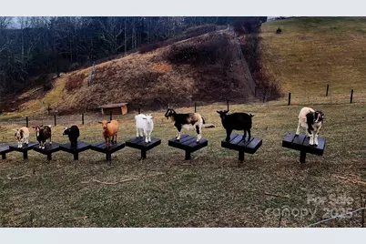 202 Westridge Farm Road #4, Asheville, NC 28804 - Photo 32