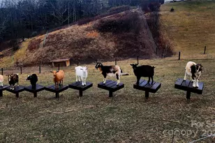 202 Westridge Farm Rd, Asheville, NC 28804 - Photo 32