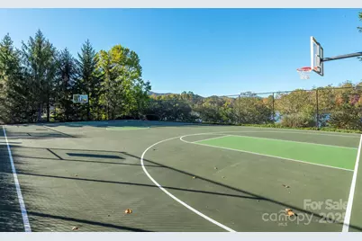 4 Yellow Owl Court, Biltmore Lake, NC 28715 - Photo 42