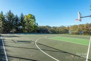 4 Yellow Owl Ct, Biltmore Lake, NC 28715 - Photo 42