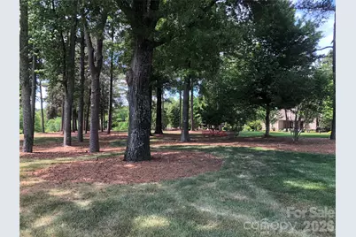 5830 Long Stirrup Lane, Mint Hill, NC 28227 - Photo 4