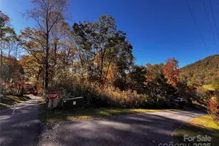 00 Club Dr, Canton, NC 28716 - Photo 1