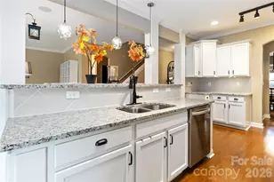 15221 Kissimmee Ln, Mint Hill, NC 28227 - Photo 16