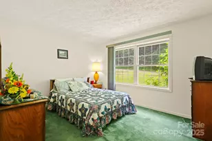 31 Barlow Rd, Elk Park, NC 28622 - Photo 20