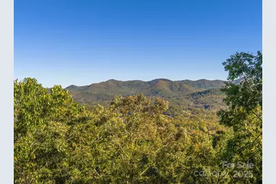 72 Wildflower Mountain Trail, Candler, NC 28715 - Photo 28