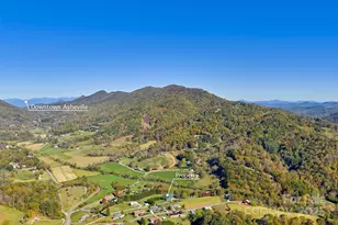 145 Keener Rd, Canton, NC 28716 - Photo 4