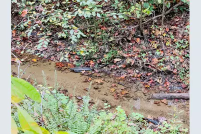 6091 Nowlings Chapel Road, Morganton, NC 28655 - Photo 10