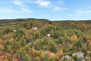 6365 Julius Dr, Newland, NC 28657 - Photo 42